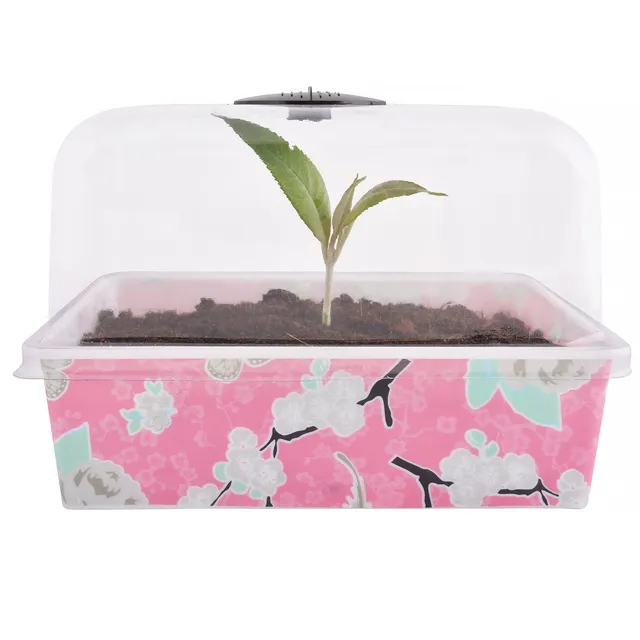 jet-line-anzuchttopf-3er-set-rosa-floral-mit-deckel-22x17x15-cm image 1