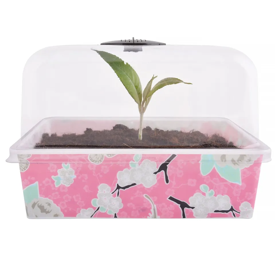 jet-line-anzuchttopf-3er-set-rosa-floral-mit-deckel-22x17x15-cm image 1