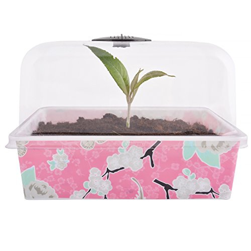 jet-line-anzuchttopf-3er-set-rosa-floral-mit-deckel-22x17x15-cm image 2